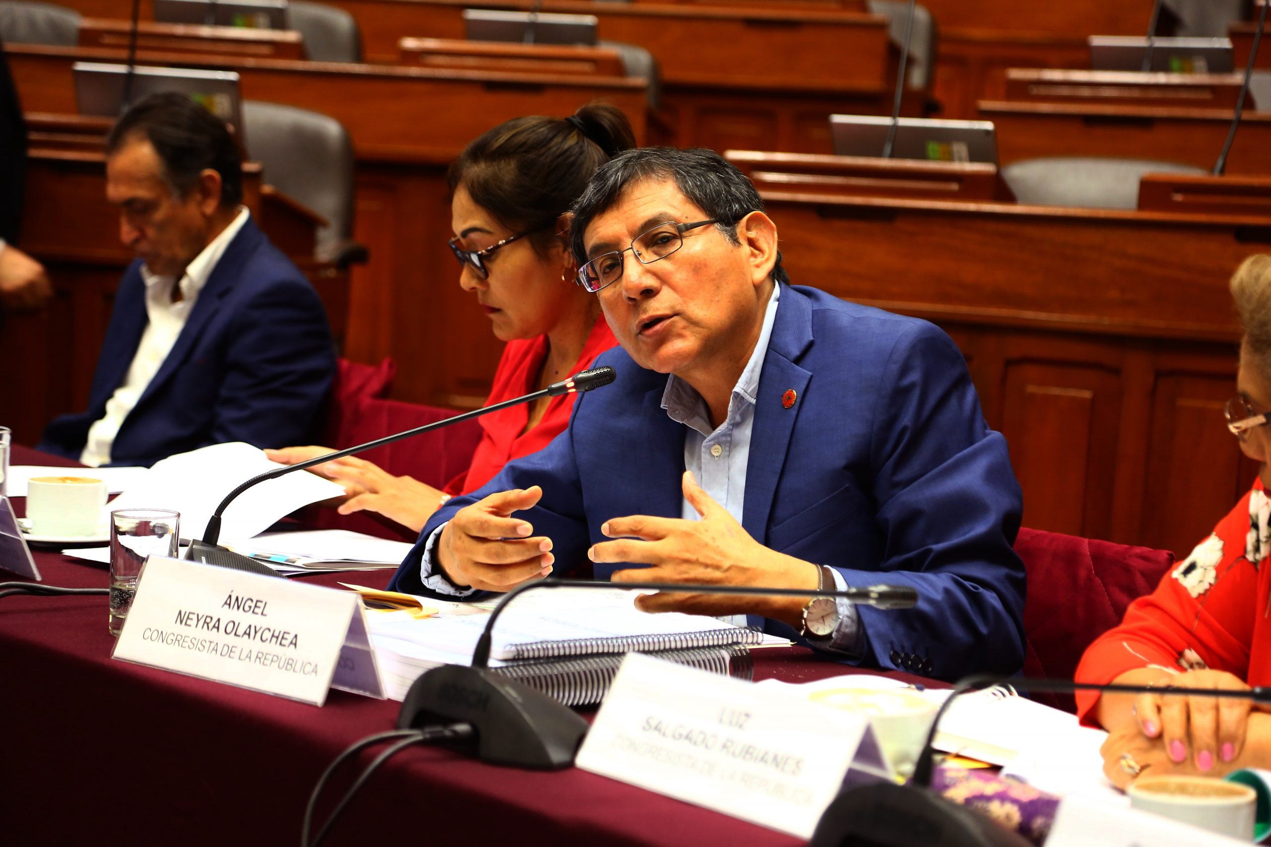 Ángel Neyra en el congreso